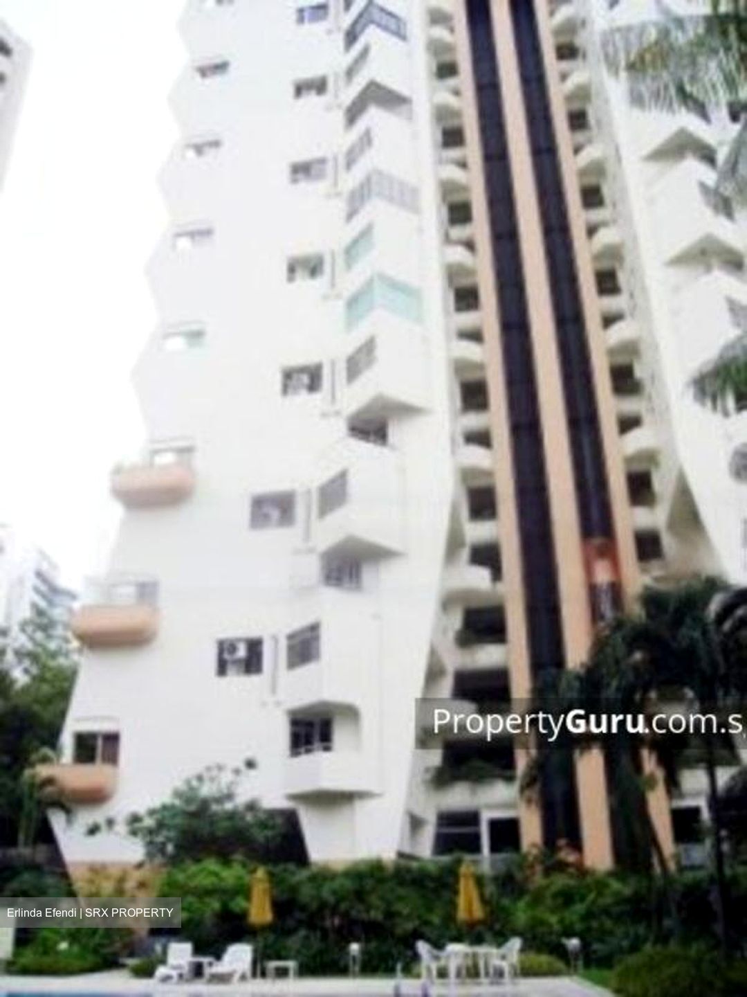 Elizabeth Heights (D9), Condominium #466610211